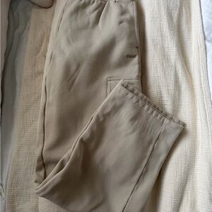 Aritzia megafit cargo sweatpants